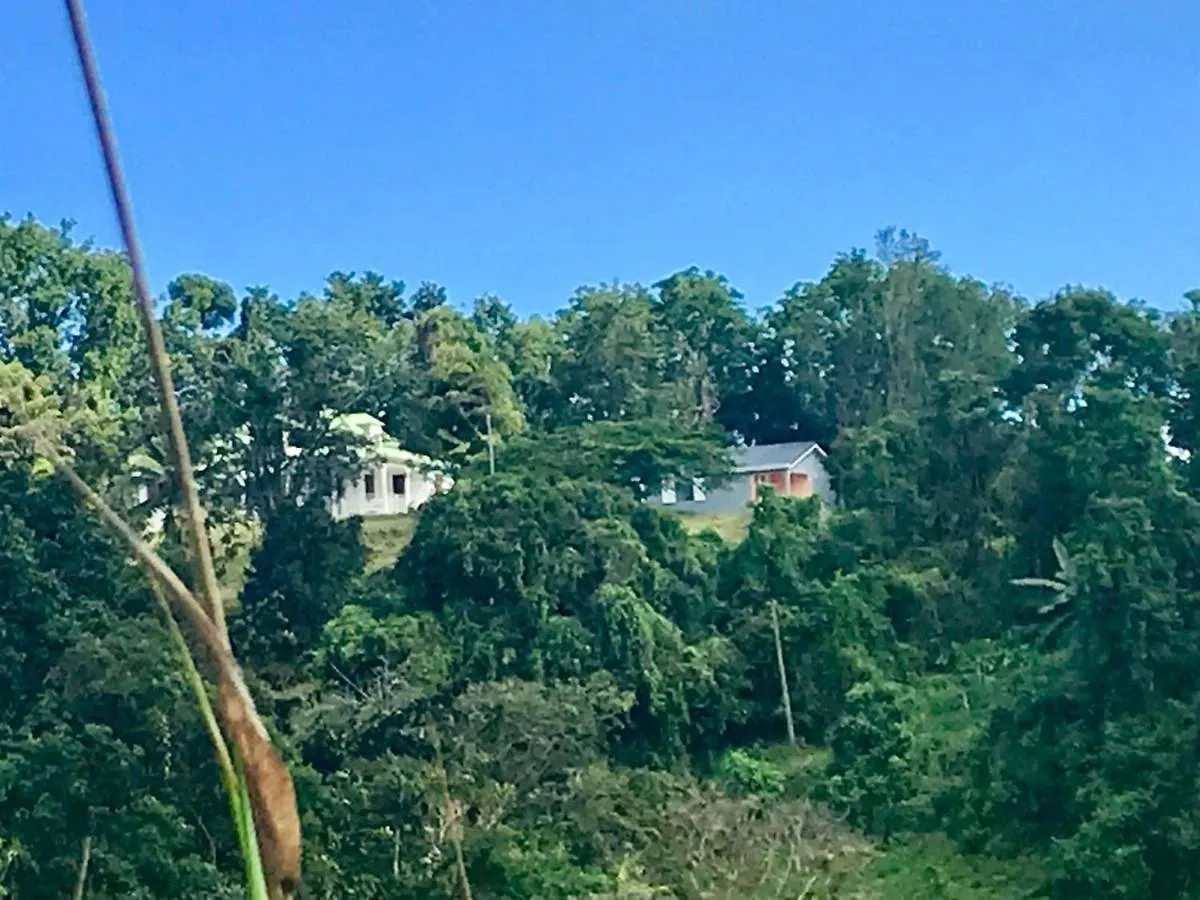 Le Flamboyant Villa Bosredon Guadeloupe
